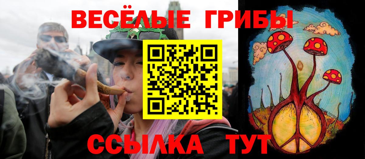 Арзамас  Псилоцибиновые грибы прущие грибы  Псилоцибиновые грибы MAGIC MUSHROOMS  Вход с VPN 
