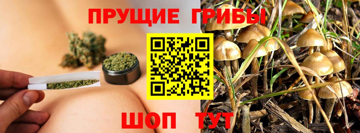 Галлюциногенные грибы ЛСД Арзамас